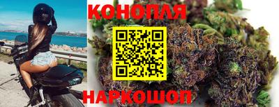 спиды Нарткала