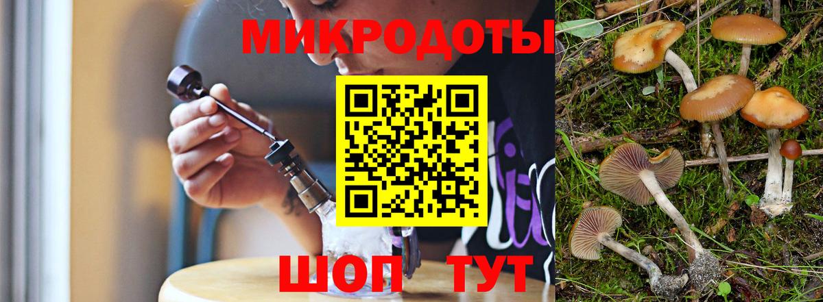 Галлюциногенные грибы Psilocybine cubensis Сланцы